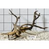 Spiderwood 171