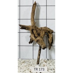 Spiderwood 173