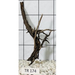 Spiderwood 174