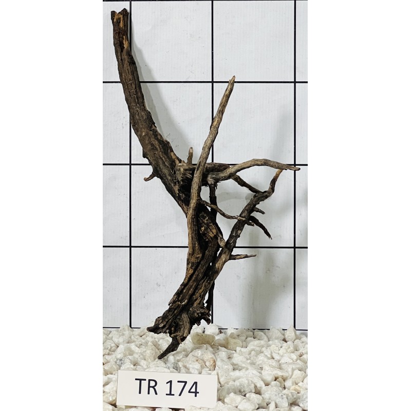 Spiderwood 174