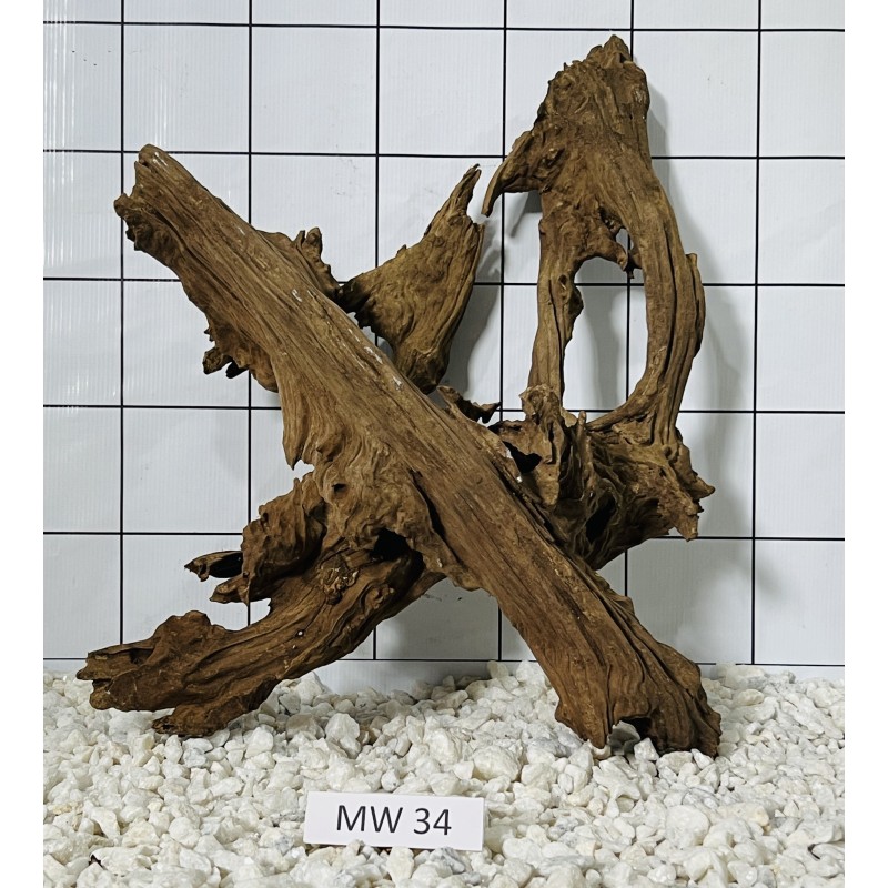 Mangrovewood 34