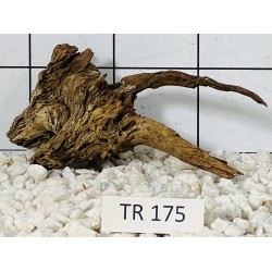 Spiderwood 175
