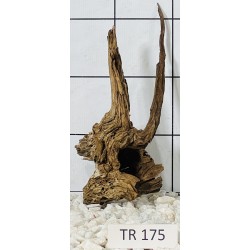 Spiderwood 175
