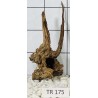 Spiderwood 175