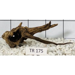 Spiderwood 175