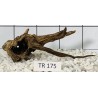 Spiderwood 175