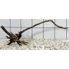Spiderwood 176