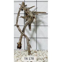 Spiderwood 178