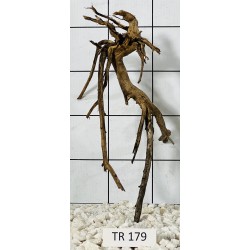 Spiderwood 179