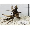 Spiderwood 180