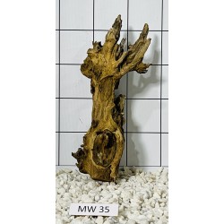 Mangrovewood 35
