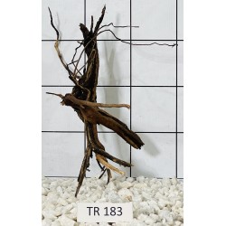 Spiderwood 183