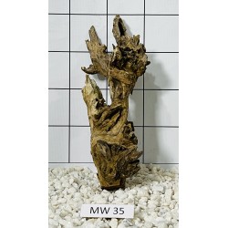 Mangrovewood 35