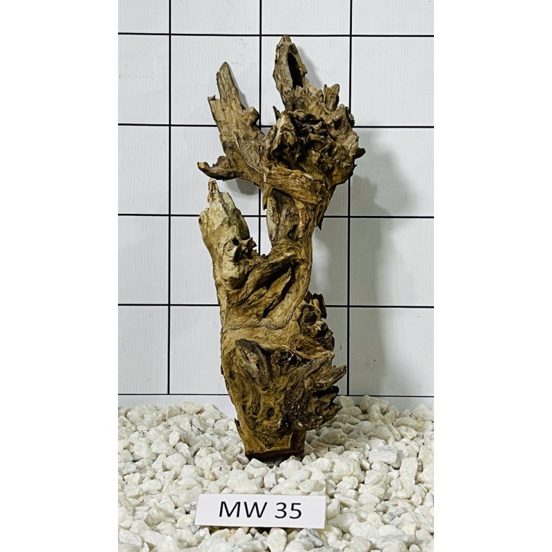 Mangrovewood 35
