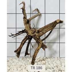 Spiderwood 186