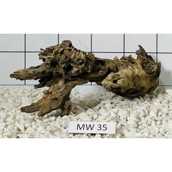Mangrovewood 35