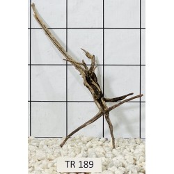 Spiderwood 189