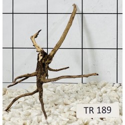Spiderwood 189