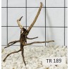 Spiderwood 189