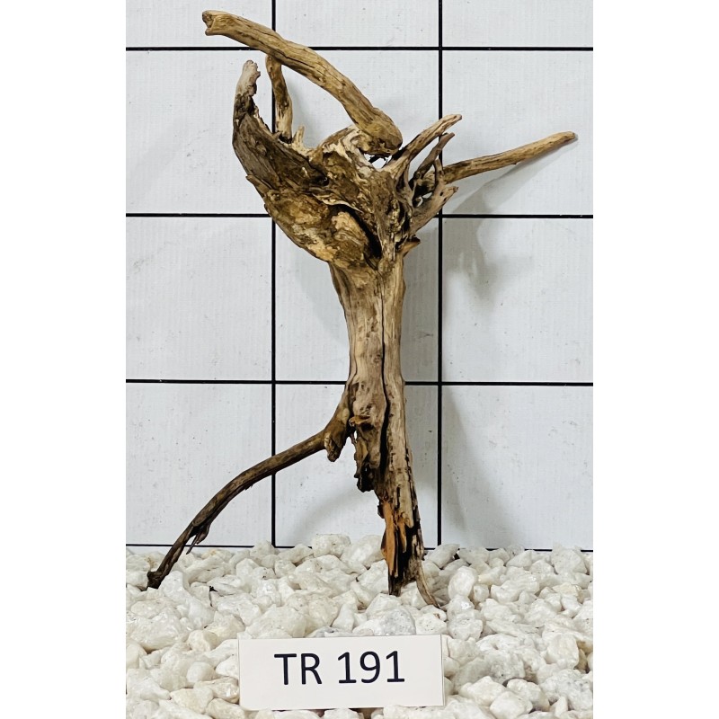 Spiderwood 191