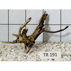 Spiderwood 191