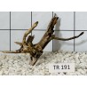 Spiderwood 191