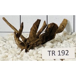 Spiderwood 192