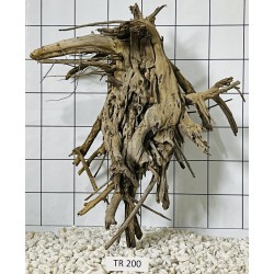 Spiderwood 200