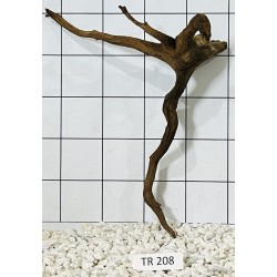 Spiderwood 208