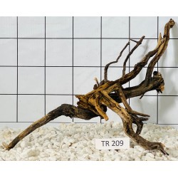 Spiderwood 209
