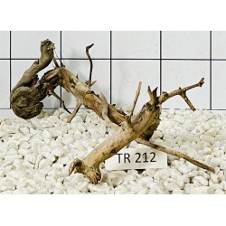 Spiderwood 212