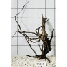 Spiderwood 213