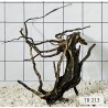 Spiderwood 213