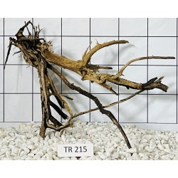 Spiderwood 215