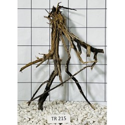 Spiderwood 215
