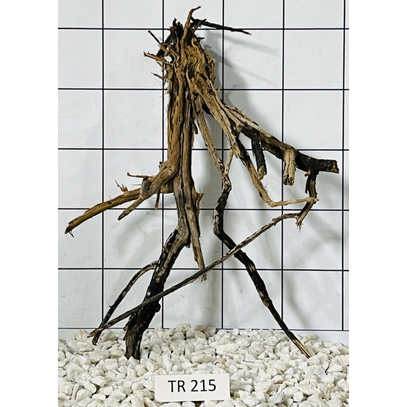 Spiderwood 215