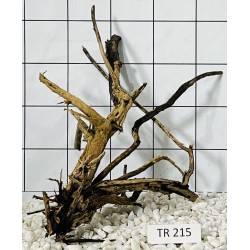 Spiderwood 215