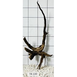 Spiderwood 220