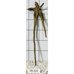Spiderwood 221