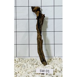 Stump wood 01