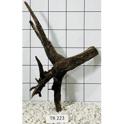 Spiderwood 223