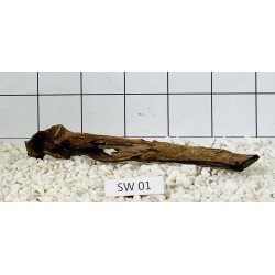 Stump wood 01