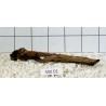 Stump wood 01