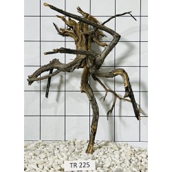 Spiderwood 225