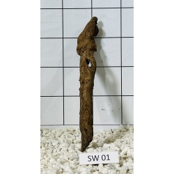 Stump wood 01