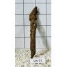 Stump wood 01