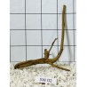 Stump wood 02