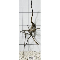 Spiderwood 234