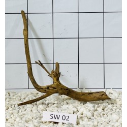 Stump wood 02