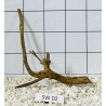 Stump wood 02